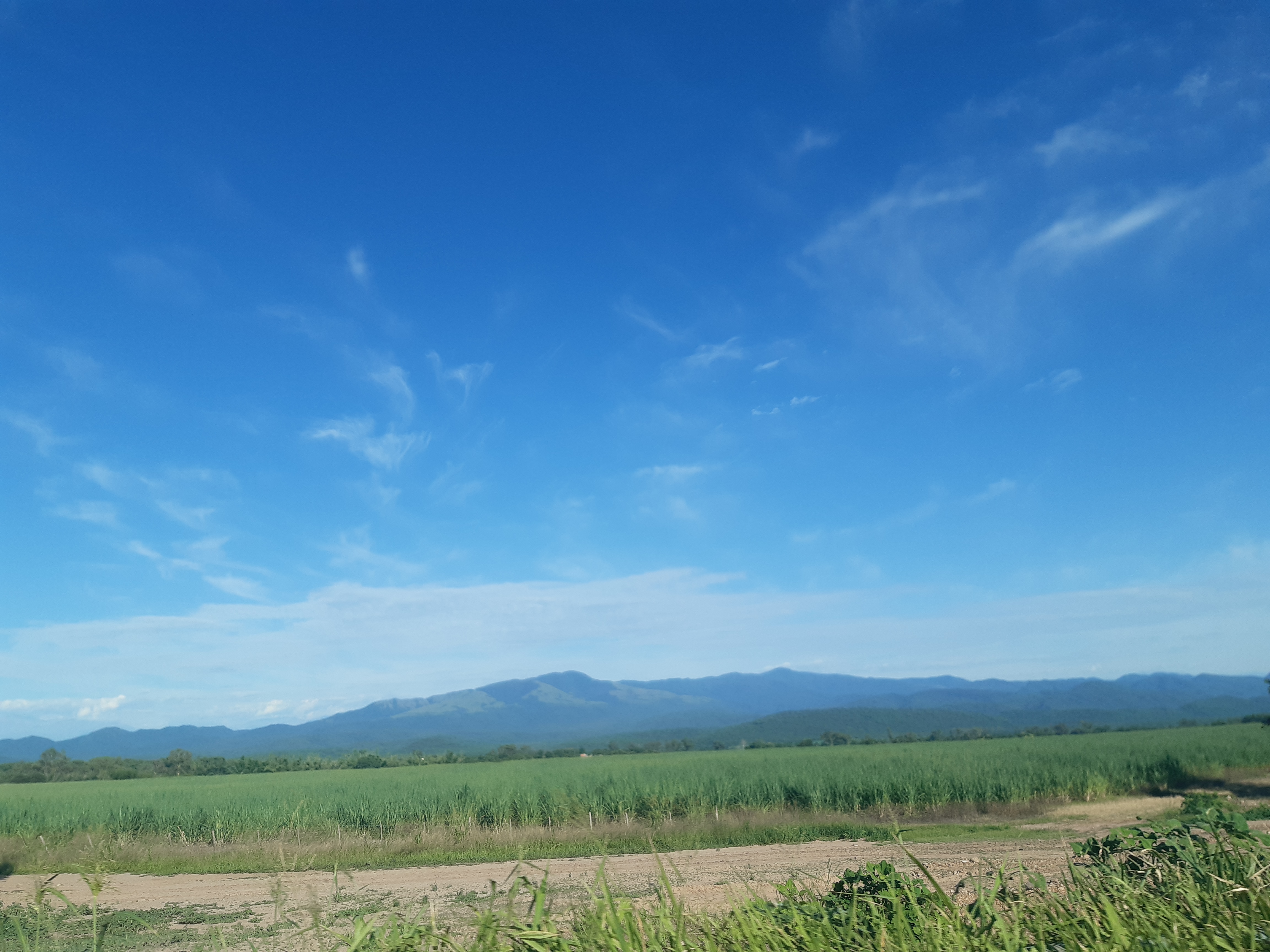 Test Imagen